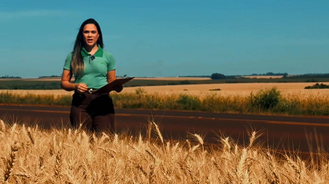 Presentadora con micrófono de solapa grabando en un campo de trigo